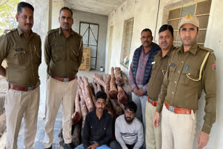 Sandalwood worth Rs 75 lakh seized