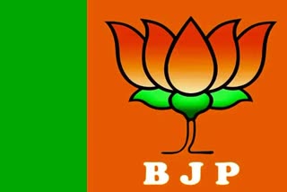 lok sabha elections 2024 bjp candidate first list from chhattisgarh