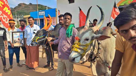 ಹಾವೇರಿಯಲ್ಲಿ ದನಬೆದರಿಸುವ ಸ್ಪರ್ಧೆ