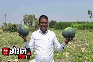 watermelon farming success story