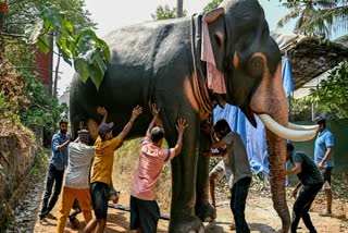 ROBOT ELEPHANTS