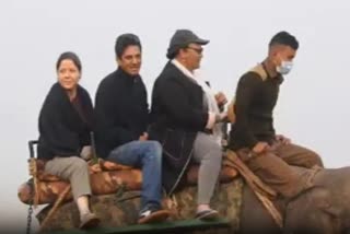 Kaziranga national park