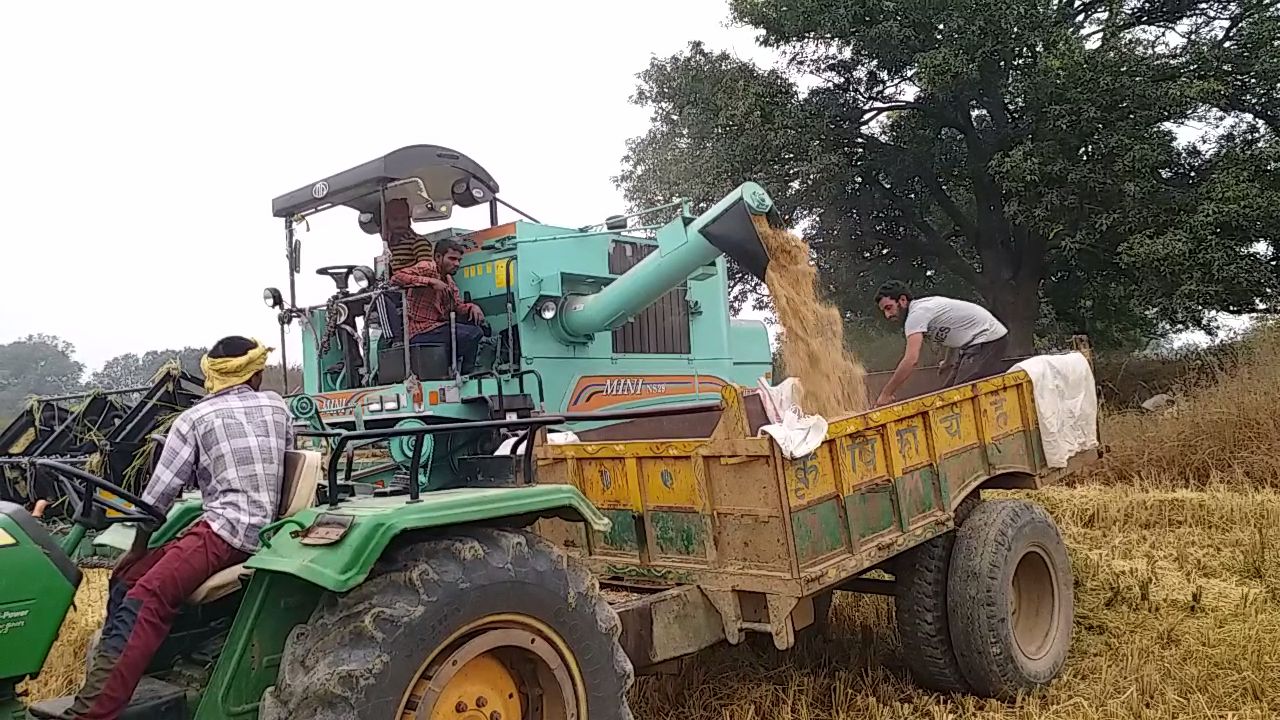 How to Apply for Fee Harvester Training