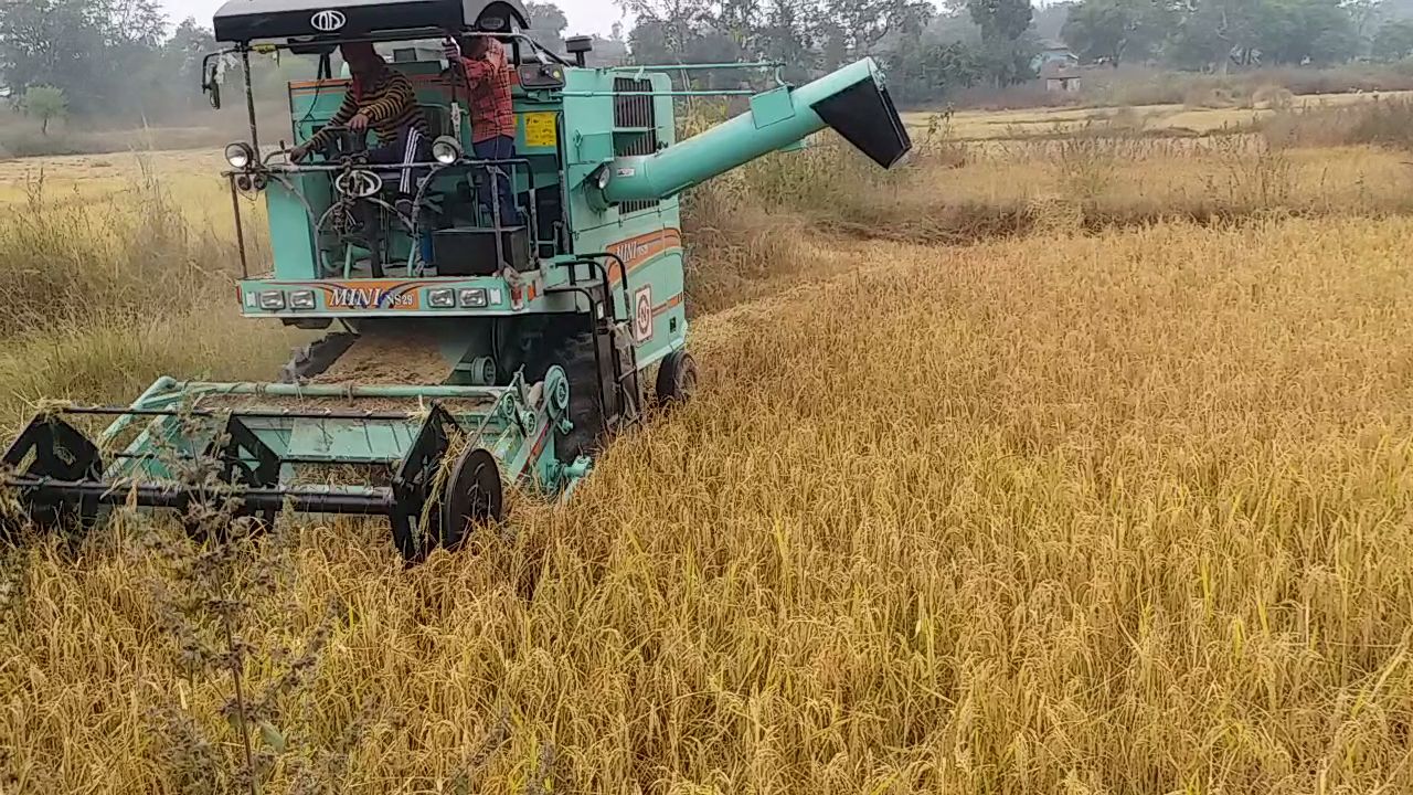 Shahdol Free Training Operating making Harvester