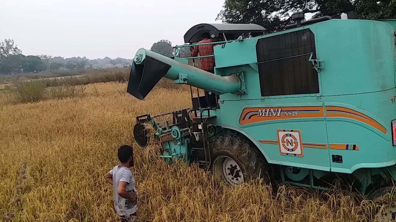 Free Training Operating making Harvester