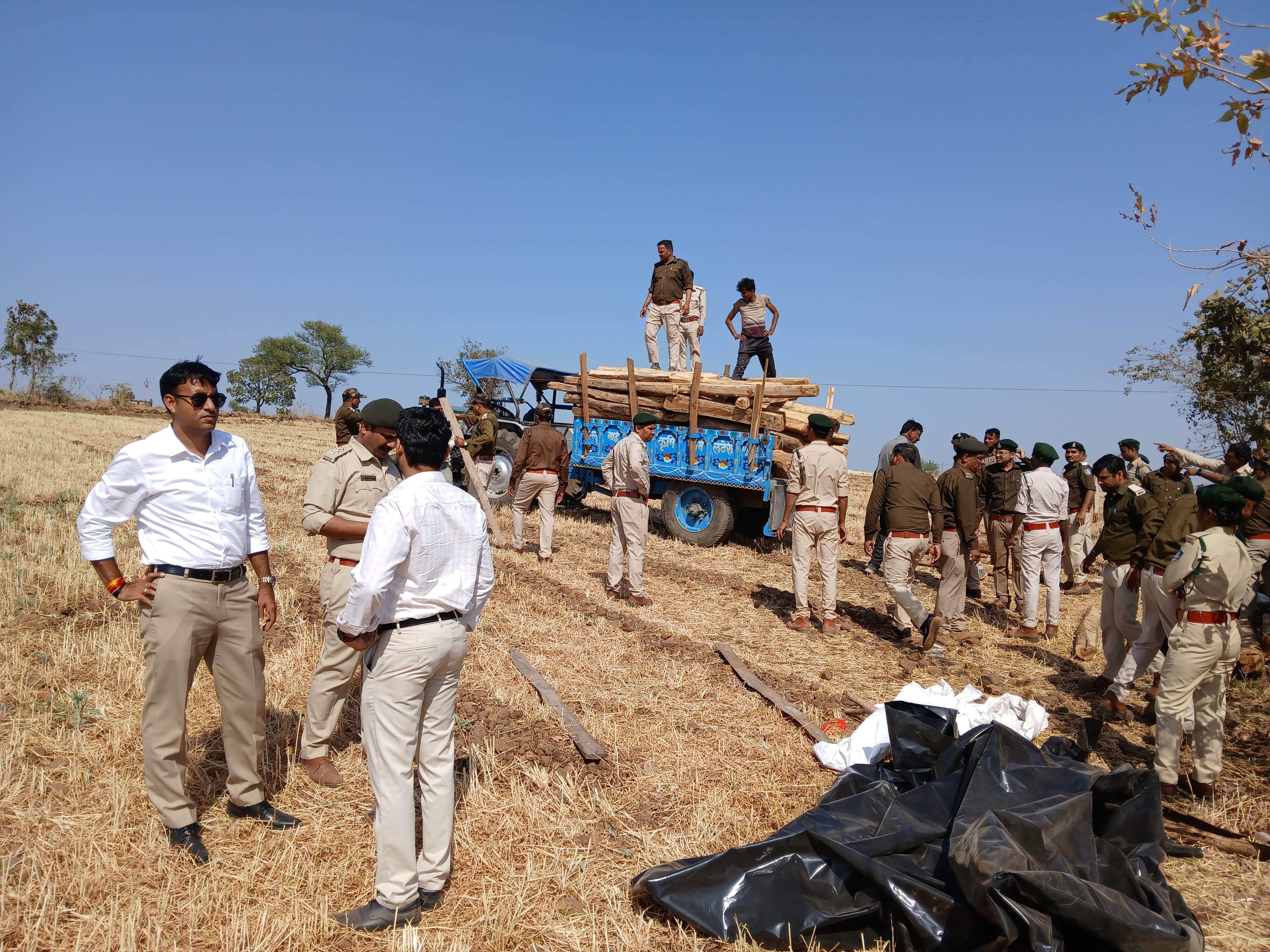 seized Teak wood in rajgarh