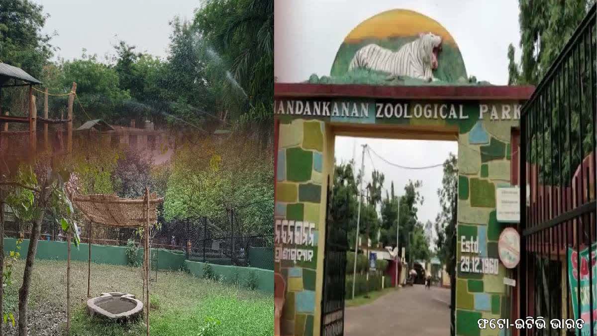 Nandankanan Zoo