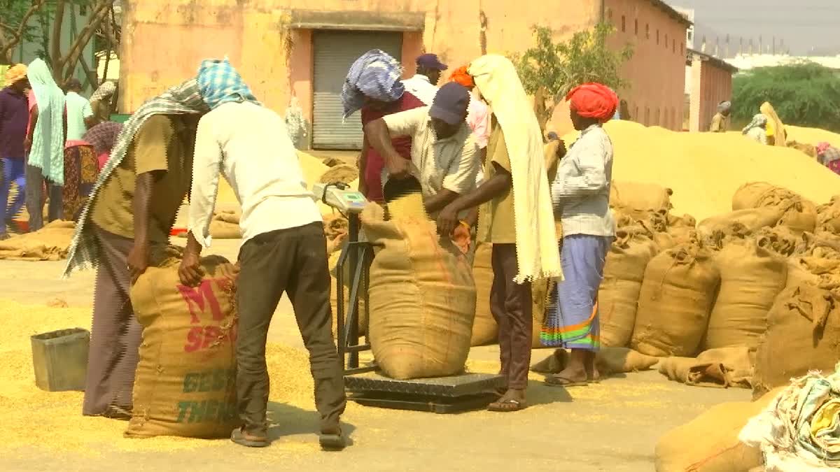 Farmers prefer to sell paddy in private