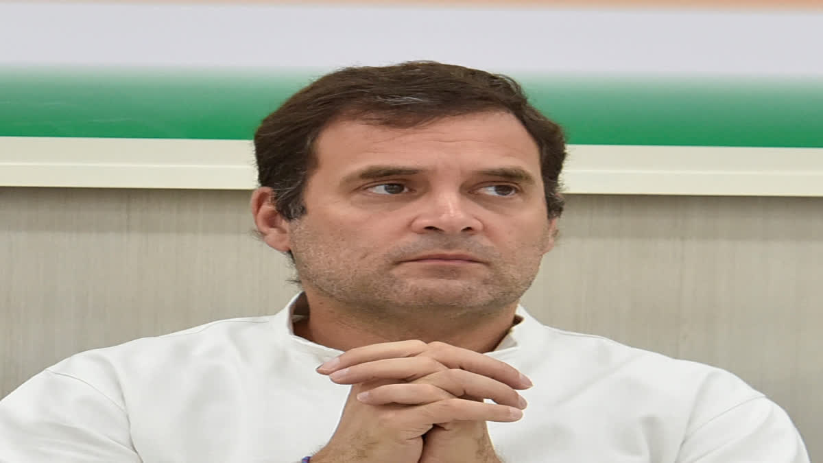 Rahul Gandhi declared his financial assets in the affidavit submitted to the Election Commission of India