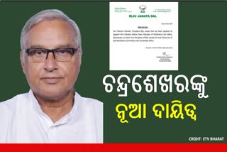 BJD Vice president