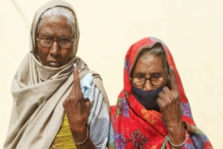 Elderly, Disabled Voters Weigh up EC's 'Vote From Home' Scheme