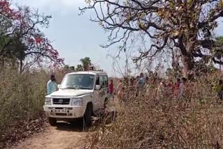 Dead Body Hanging From Tree