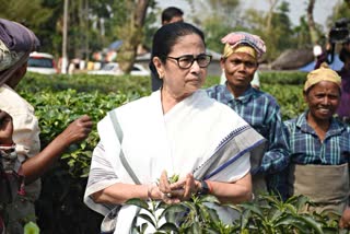 Mamata in North Bengal