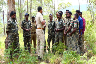 WILD ELEPHANT ATTACK  SPECIAL RRT UNIT  CHINNAKANAL ELEPHANT ATTACK  ELEPHANT ATTACK SPECIAL RRT UNIT