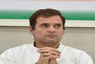 Rahul Gandhi ECI Affidavit