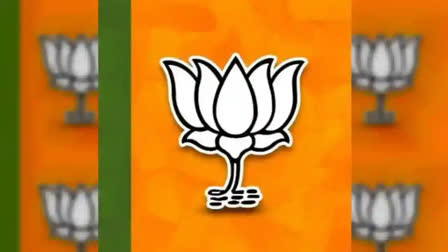 BJP candidates file nomination for two Barak Valley constituencies