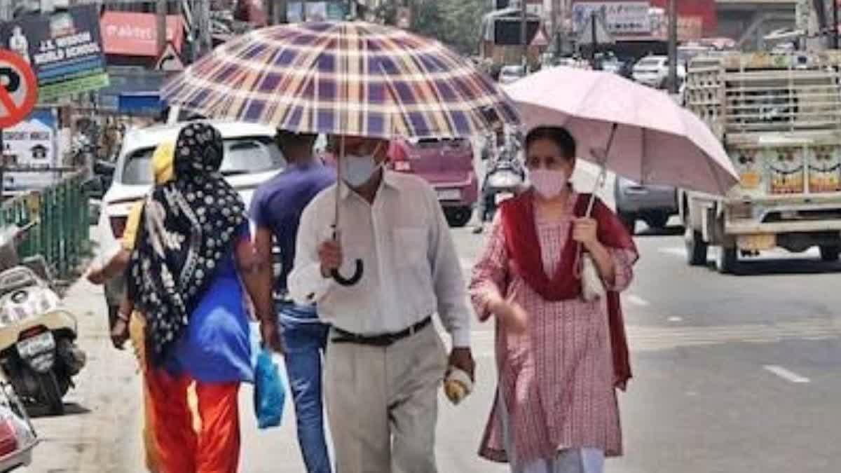 Haryana Weather Update