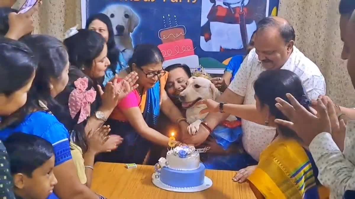 Dog Birthday celebration
