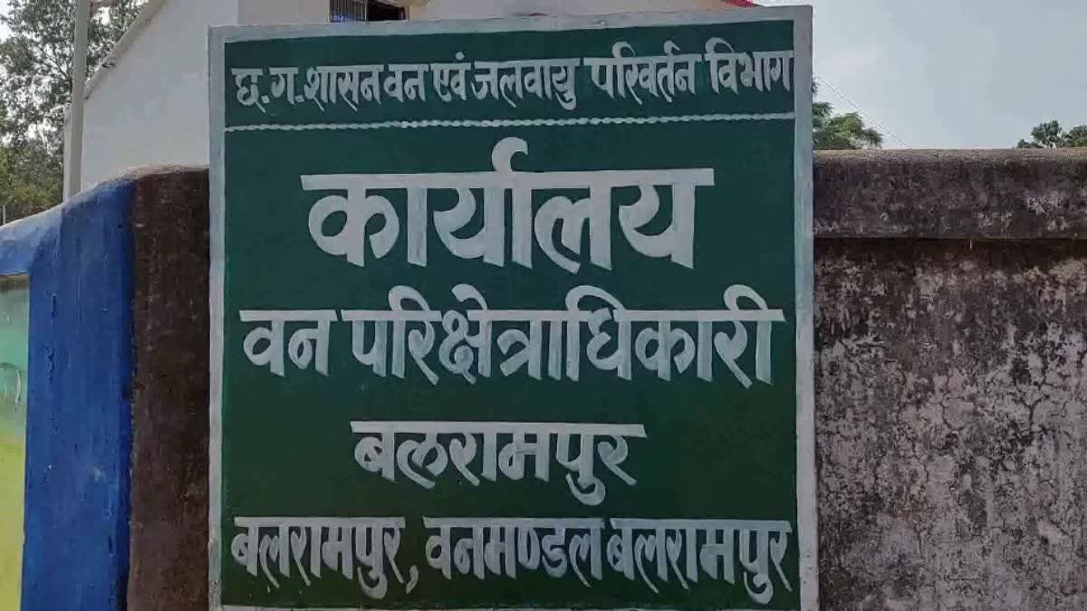 ELEPHANT ATTACK IN BALRAMPUR