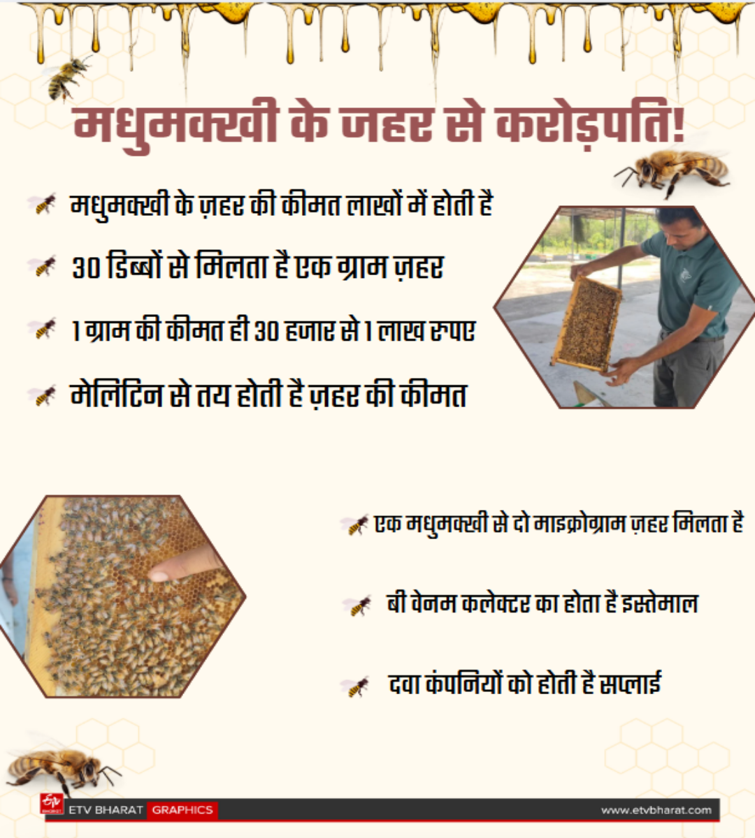 Become a millionaire by bee venom training in Beekeeping Development Center Ramnagar Kurukshetra Haryana