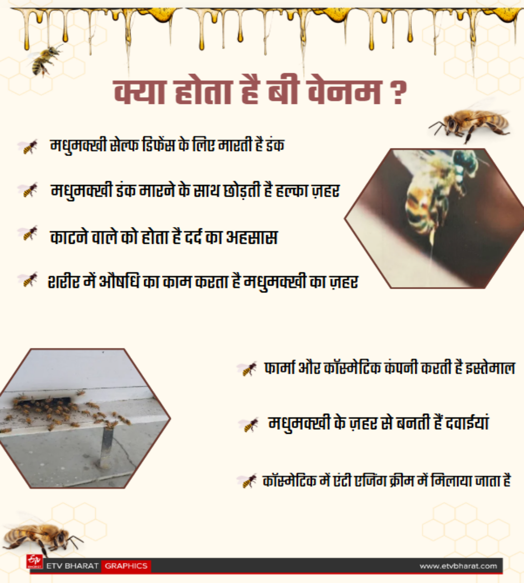 Become a millionaire by bee venom training in Beekeeping Development Center Ramnagar Kurukshetra Haryana