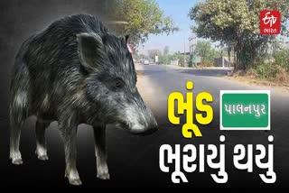 પ્રતિકાત્મક તસવીર