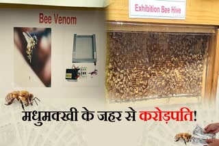 Become a millionaire by bee venom training in Beekeeping Development Center Ramnagar Kurukshetra Haryana