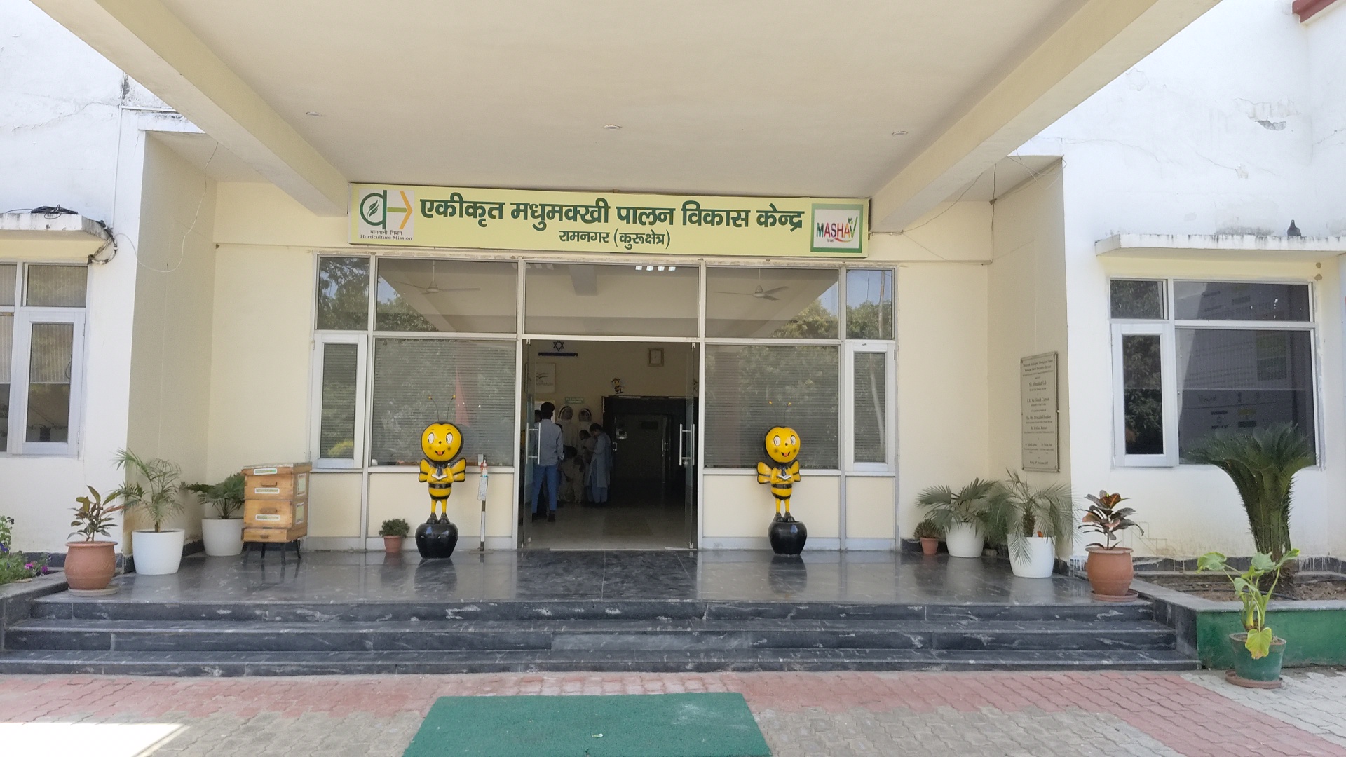 Become a millionaire by bee venom training in Beekeeping Development Center Ramnagar Kurukshetra Haryana