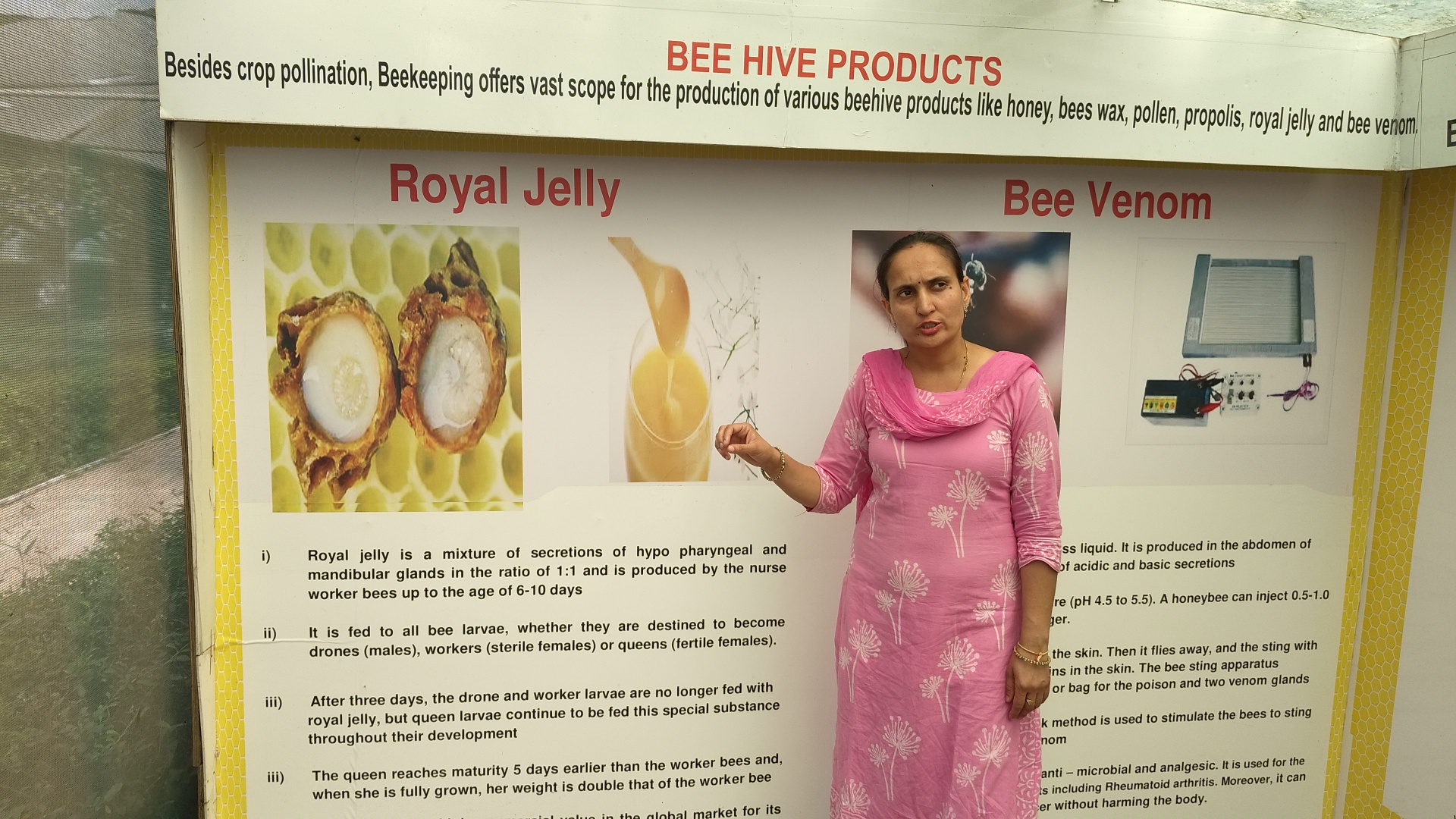 Become a millionaire by bee venom training in Beekeeping Development Center Ramnagar Kurukshetra Haryana