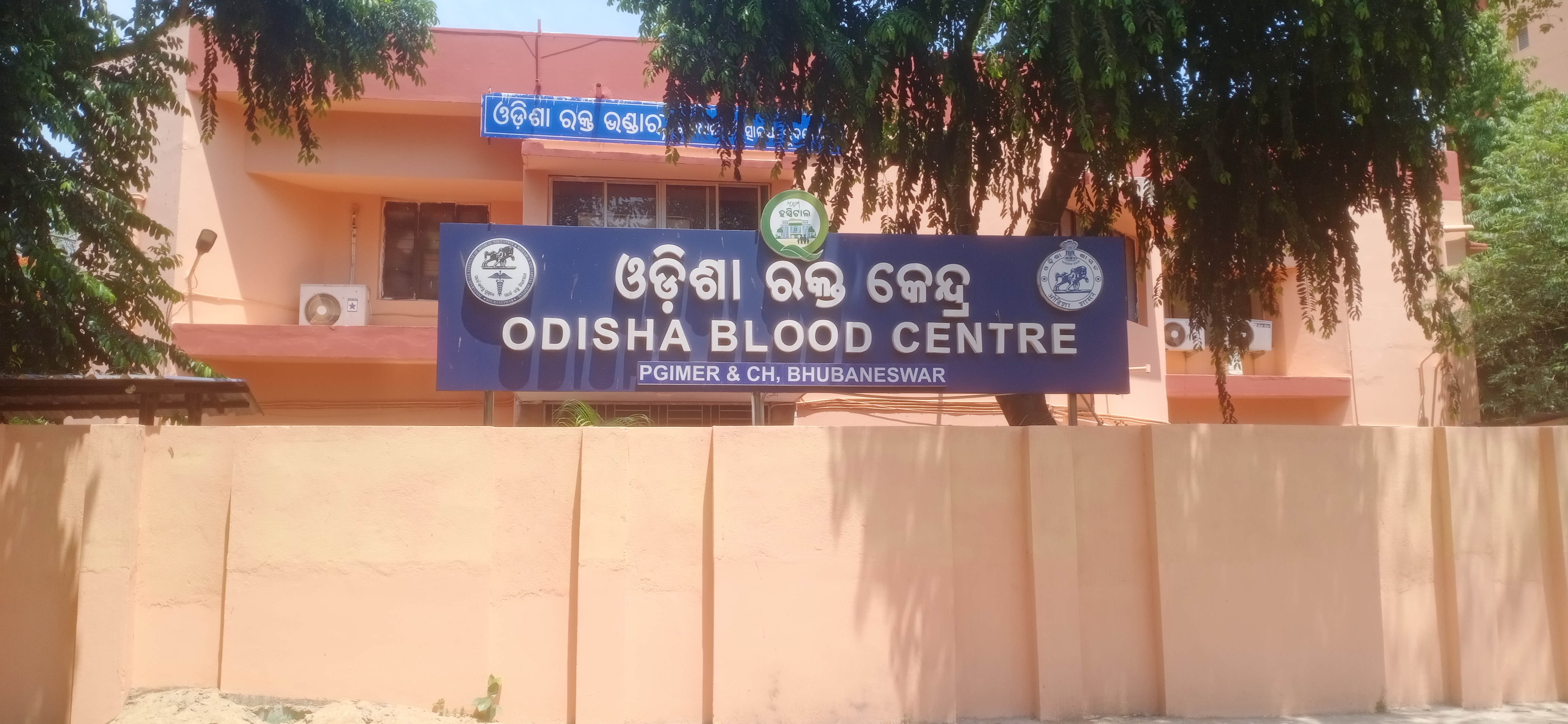 ଇ-ବ୍ଲଡ଼ ବ୍ୟାଙ୍କ