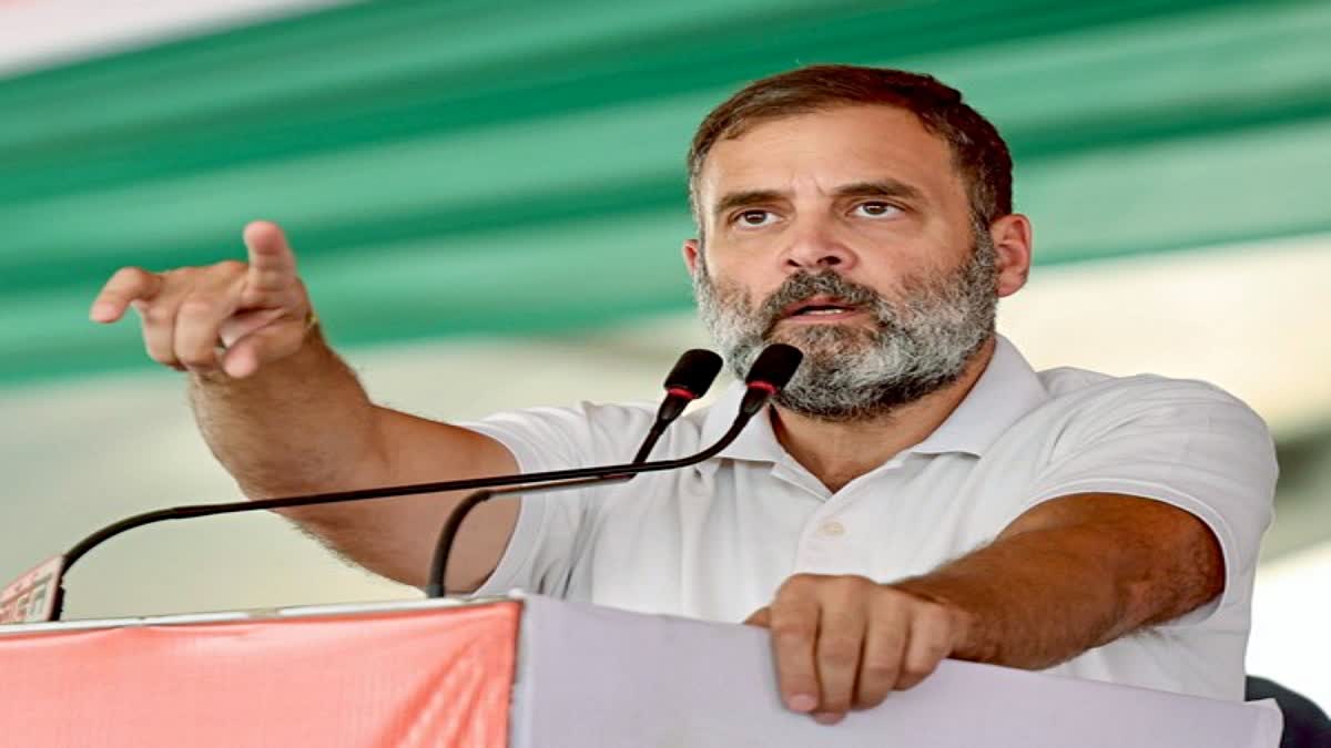 Rahul Gandhi to contest from Raebareli