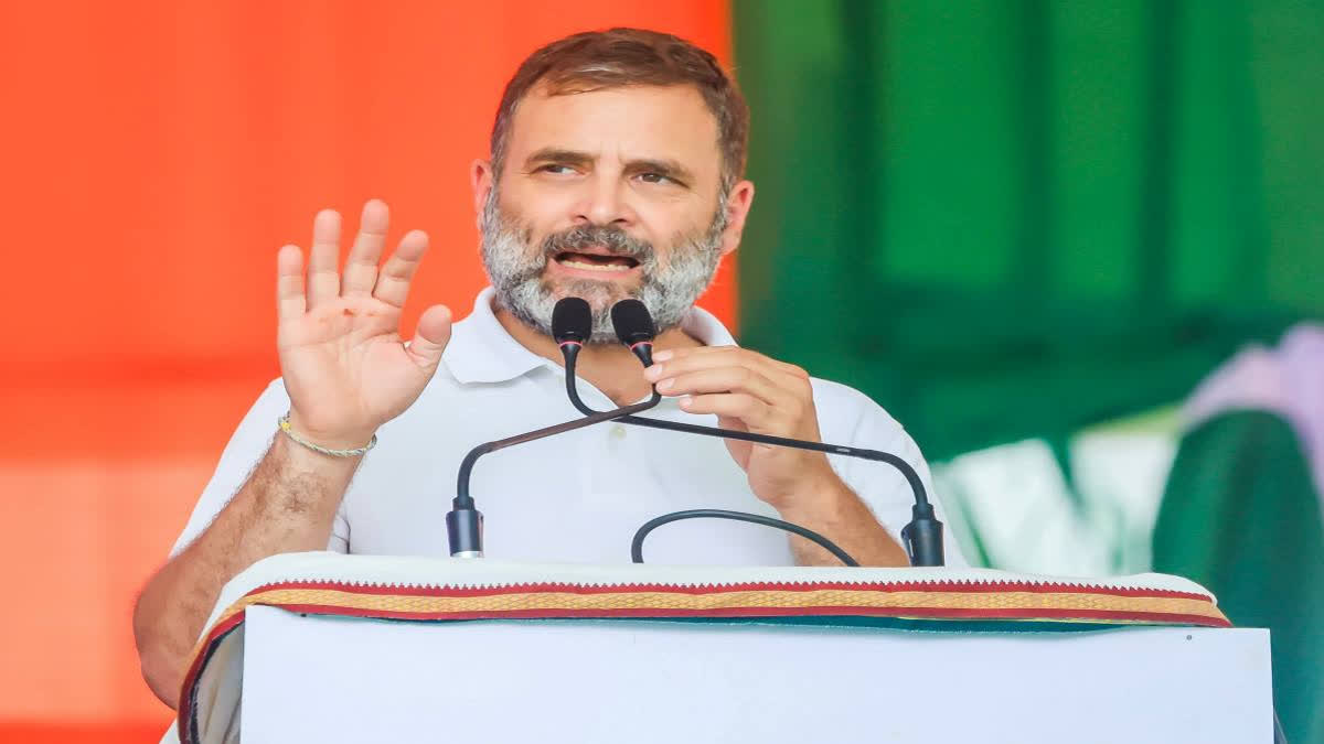 Congress leader Rahul Gandhi has declared assets of over Rs 20 crore in his nomination papers, including movable assets worth Rs 9,24,59,264, shares worth Rs 3,81,33,572, bank balance of Rs 26,25,157, and gold bonds worth Rs 15,21,740.