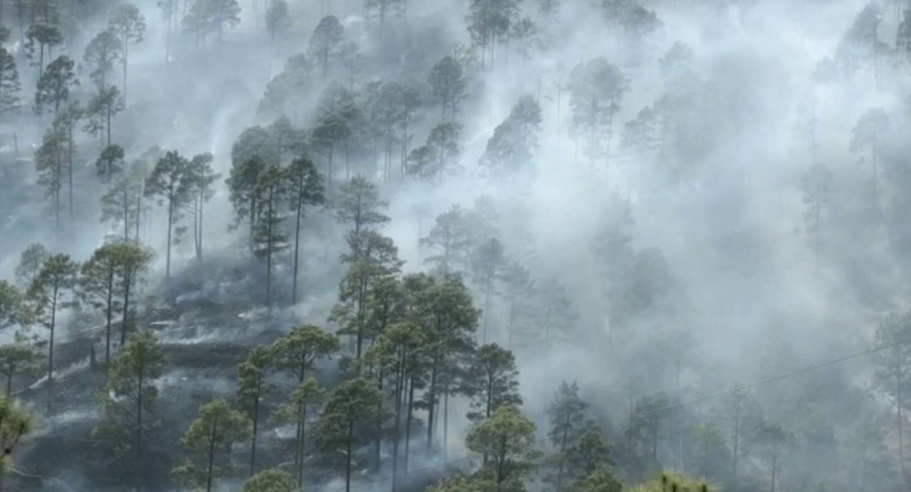 Uttarakhand Forest Fire