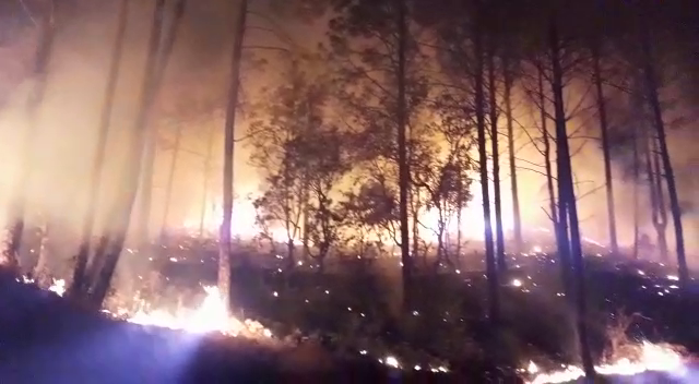 Uttarakhand Forest Fire