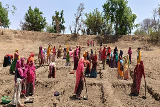 Workers working in MNREGA in Bhilwara