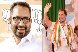 RAEBARELI LOK SABHA  RAHUL GANDHI  LOK SABHA ELECTION 2024  കെ സുരേന്ദ്രൻ രാഹുല്‍ ഗാന്ധി