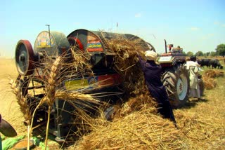 Pakistan Unfair Wheat Policy