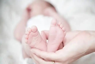 A 23-year-old woman in Kerala, delivered a baby in the bathroom of her apartment and allegedly threw it on the street. The woman was traced using the Amazon delivery packet. Kochi Corporation found the baby's body in Panampilly Nagar.