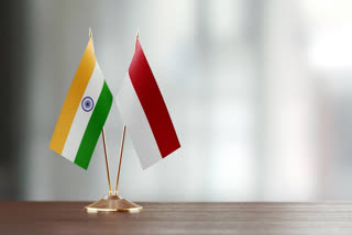 India and Indonesia have pledged to broaden their bilateral defence ties, particularly in maritime security and military equipment production. Both sides expressed satisfaction with the expanded scope of defence cooperation, citing progress made in working groups.