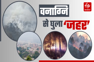 Carbon Emissions in Srinagar