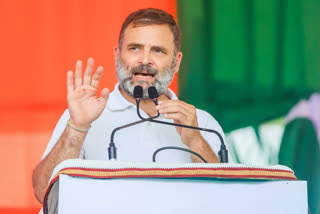 Congress leader Rahul Gandhi has declared assets of over Rs 20 crore in his nomination papers, including movable assets worth Rs 9,24,59,264, shares worth Rs 3,81,33,572, bank balance of Rs 26,25,157, and gold bonds worth Rs 15,21,740.