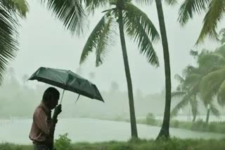 CHANCE OF RAIN IN KERALA  YELLOW ALERT IN KERALA  കേരളത്തില്‍ മഴയ്ക്ക് സാധ്യത  യെല്ലോ അലർട്ട്