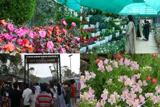 3RD MUNNAR FLOWER SHOW  FLOWER SHOW 2024  VISUAL FEAST IN IDUKKI  മൂന്നാർ പുഷ്‌പമേളയ്ക്ക് തുടക്കം