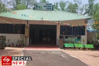 Pediatric Ward For Animals