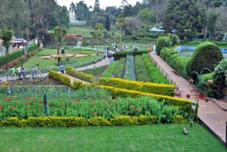 Kodaikanal Park Photo