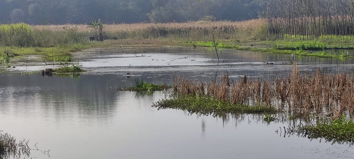 बदलेगी बूढ़ी की गंगा की तस्वीर.