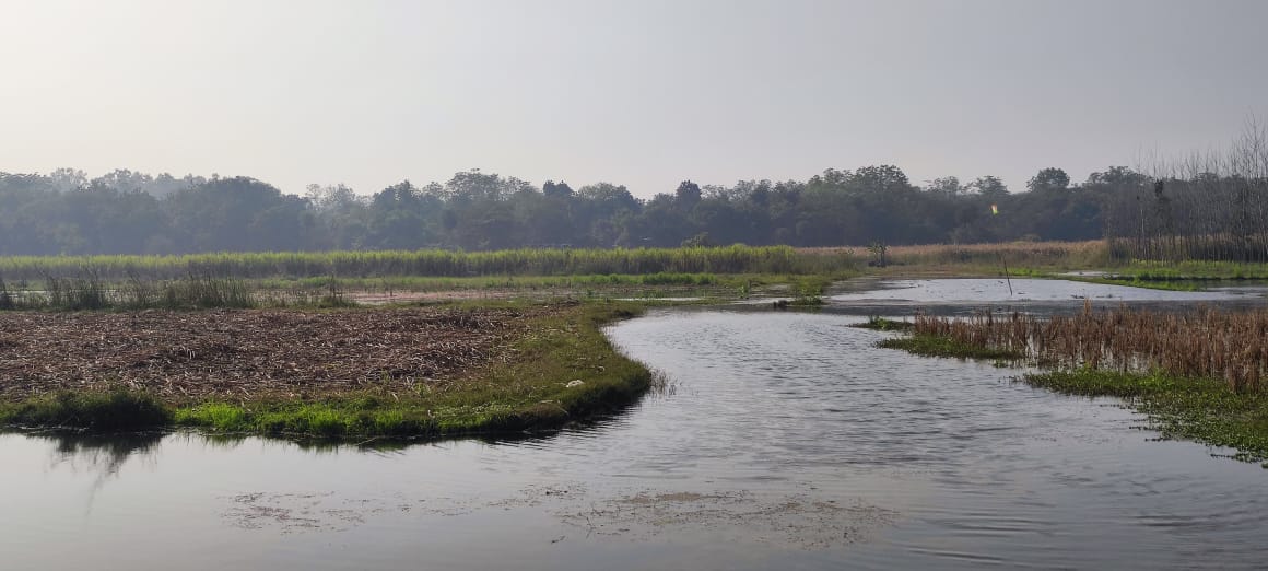 बदलेगी बूढ़ी की गंगा की तस्वीर.