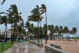 RAIN ALERT  RAIN IN KERALA  KERALA WEATHER REPORT  KERALA LATEST NEWS
