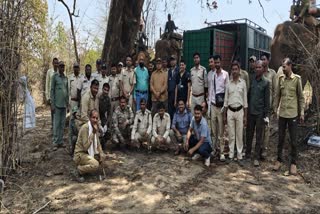 Rescue of attacking tigress