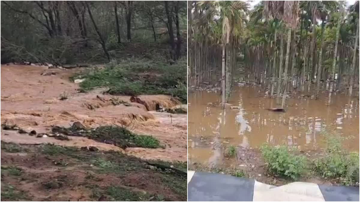 ರಾಜ್ಯದ ವಿವಿಧ ಜಿಲ್ಲೆಯಲ್ಲಿ ಭರ್ಜರಿ ಮಳೆ